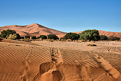 GI - Deine Spuren im Sand - Bernhard Saalfeld